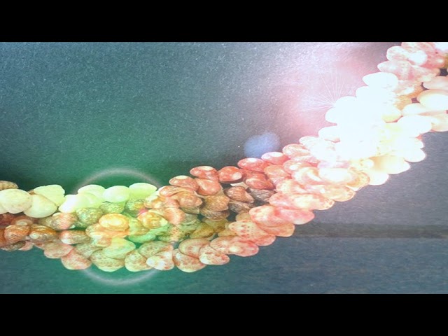 Video Little harada, saraba koibito - YouTube