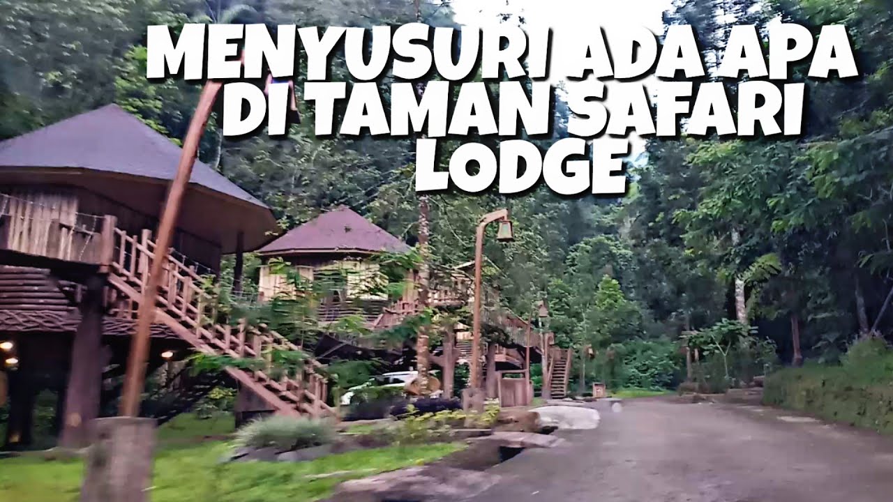 safari lodge hotel puncak