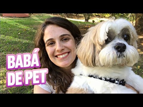 Vídeo: Terapia cães como seus empregos?