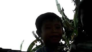 Nanda dan tomi bersanang