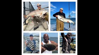 TOP 4- BEST Fishing Spots ON LAND in OCMD!! Plus a few BONUS LOCATIONS & they're nearly all FREE!!