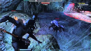 Elder Scrolls Online via PlayOnLinux Part 2