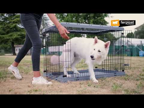 The best dog crate: Superior by Ferplast