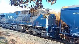 Trem carregado partindo 