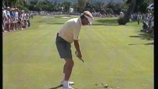 Wayne Grady Australian Skins 1991 mid iron dtl