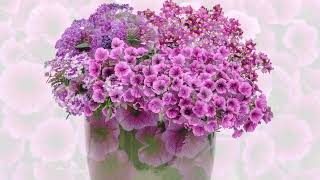 Supertunia Mini Vista® Plum Veined