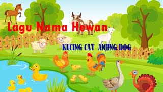 LAGU KUCING CAT ANJING DOG KUPU KUPU BUTTERFLY | NAMA HEWAN UNTUK ANAK