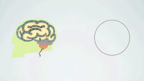 Instant healings using the Triune Brain (old)