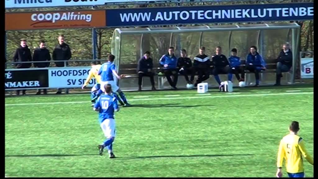 Samenvatting SDOL 1 RAALTE 1 (