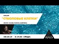 Лекция "Стволовые клетки: техника безопасности и инструкция по применению", лектор: Полина Лосева