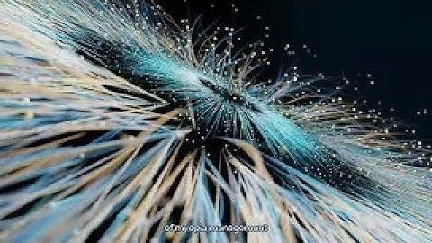 Euclid Lenses - Trusted Everywhere