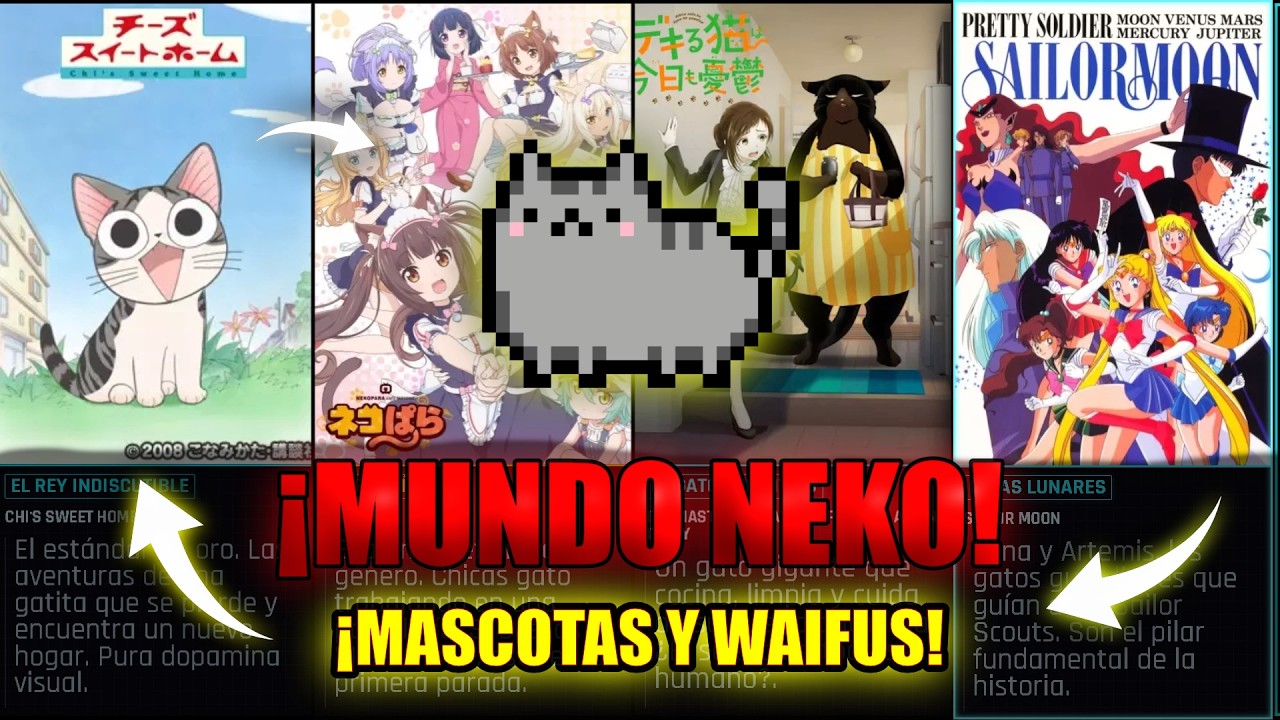 El Universo Felino del Anime: De Chi a Nekopara