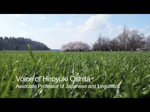 OU's blooming cherry trees signal onset of spring