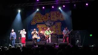 Reel Big Fish - The Setup Live