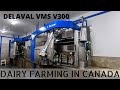 Touring A Barn With Robotic Milkers