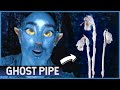 This vampirelike indian pipe is unlike anything in the forest aka ghost pipe