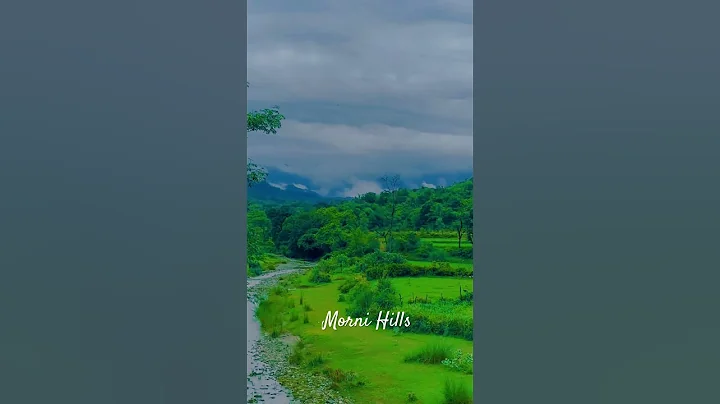 Incredible Wildlife in Stunning 16K HDR 120fps Dolby Vision