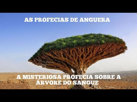 Vídeo: O Rei E A árvore. Por Que Peter I Adiou O Ano Novo Para 1º De Janeiro - Visão Alternativa