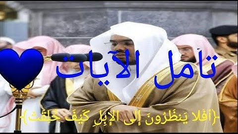 تلاوة خاشعة للشيخ ياسر الدوسري ﴿أَفَلا يَنظُرُونَ إِلَى الإِبِلِ كَيْفَ خُلِقَتْ﴾