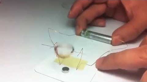 WCLN - Physics - Simple Motor