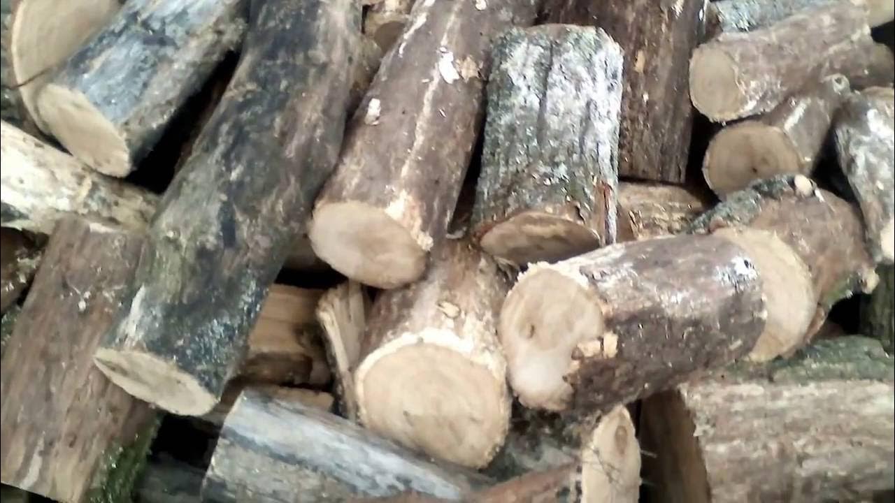 Дрова строительные. Дрова воронеж. Дрова сухие дуб. Дрова фруктовых деревьев. Поделки из строганной дубовой обрези.