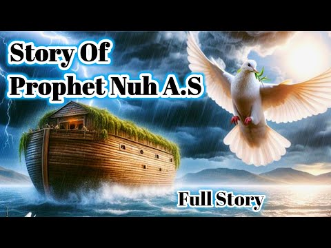Prophet Stories in