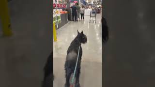 See the heartwarming joy of my RoMan as he takes a stroll through @lowes