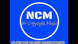 Jim Yosef - Eclipse [NCM No Copyright Music]
