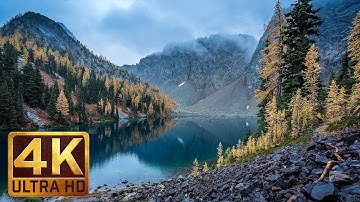 تلاوة هادئه تفيض جمالاً  ارتاح نفسياً تأمل مع صوت خرير 4K