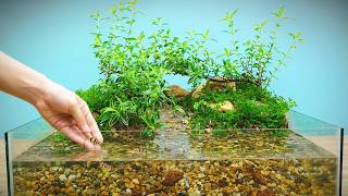 DIY Mini Stream Bank Plant Ecosystem for Tiny Fish ,Nature Build- Part 2, Here's How!