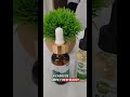 Aceite de Orégano #oregano #aceitedeoregano #recetas #remedioscaseros #franksuarez