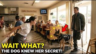 Can I Sit Here Disabled Navy SEAL Asked a Waitress — Then His K9 Froze the Entire Diner
