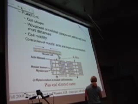Lec 4 - Actin and Myosin