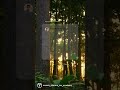 Largest Forest Type in India? | Geography Booster #shorts #upsc #geography #forest #upscprelims