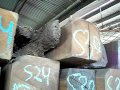 Trinidad Teak Loading Trinidad Teak Loading
