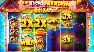 INSANE HITS On DOG HOUSE MEGAWAYS SLOT (RARE BONUS)