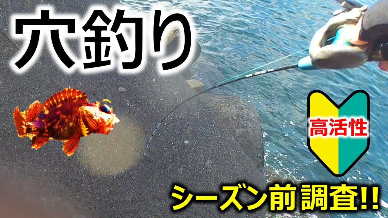 【穴釣り】シーズン前調査！