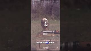 High-Pressure Gun Vs Human Dummy