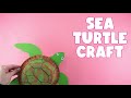 How to make a sea turtle craft