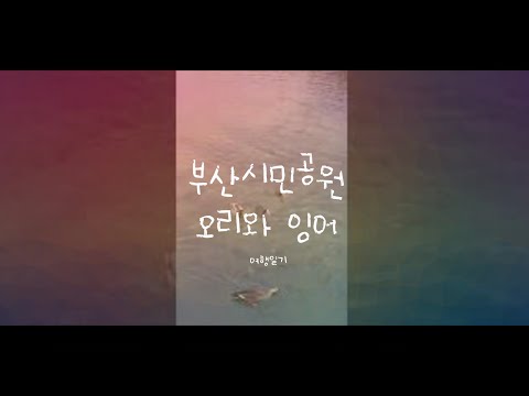 부산시민공원