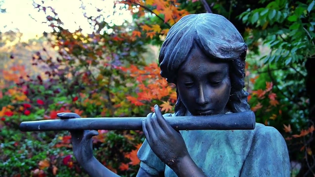 The Fall | Macedon | Melbourne | Sony a6400