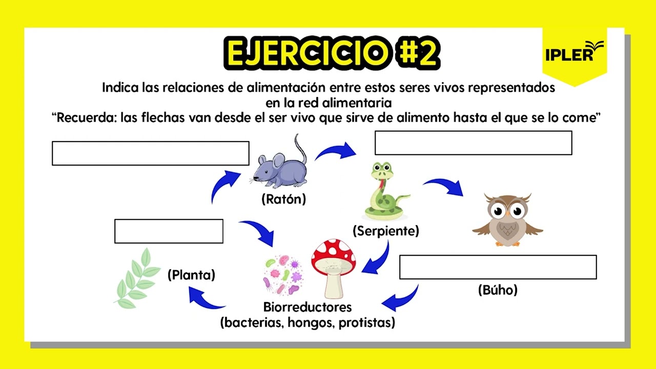 Ejercicios rápidos de Relaciones entre seres vivos en un ecosistema #2