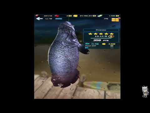 Play Ace Fishing All Boss Fish Part 1