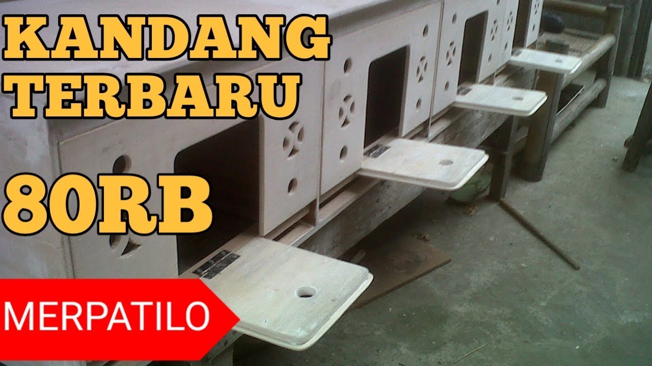 HARGA KANDANG MERPATI TERBARU ( PASAR BURUNG SUKAHAJI BANDUNG) 