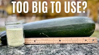 Our Zucchinis Grew TOO BIG So We Did This by Wilderstead 5,147 views 1 year ago 10 minutes, 36 seconds