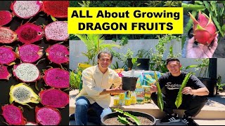 ALL ABOUT Growing Dragon Fruit w/ 'The King Of Dragon Fruits' | feat. Grafting Dragon Fruit YouTube