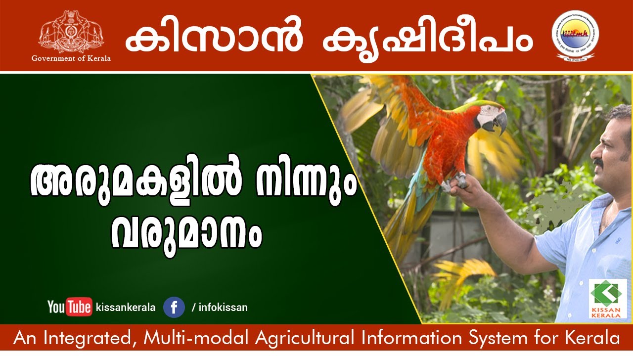 Pet Birds & Animals - The Ever Running Income