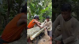 Muatannya nggak tanggung2 🫣 #kampunghalaman #nature #extreme
