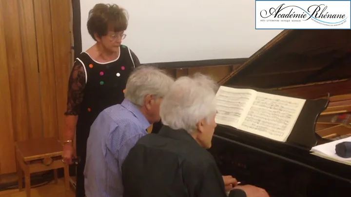 Piano  4 mains : Theodor Guschlbauer et Daniel Spi...