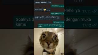 siapa sangka🥶#cat #memecringe #memes #memengakakkocak #funny #ngakak #short #fyp